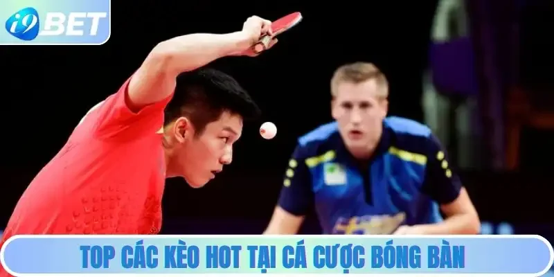 Top các kèo hot tại cá cược bóng bàn